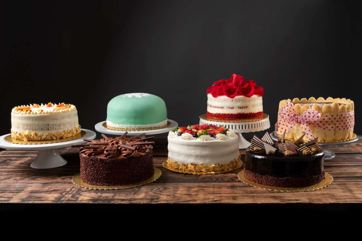 Diary of a writing project. Day 175: Bright sunshine, yummy Spring – seven of fourteen&nbsp;–