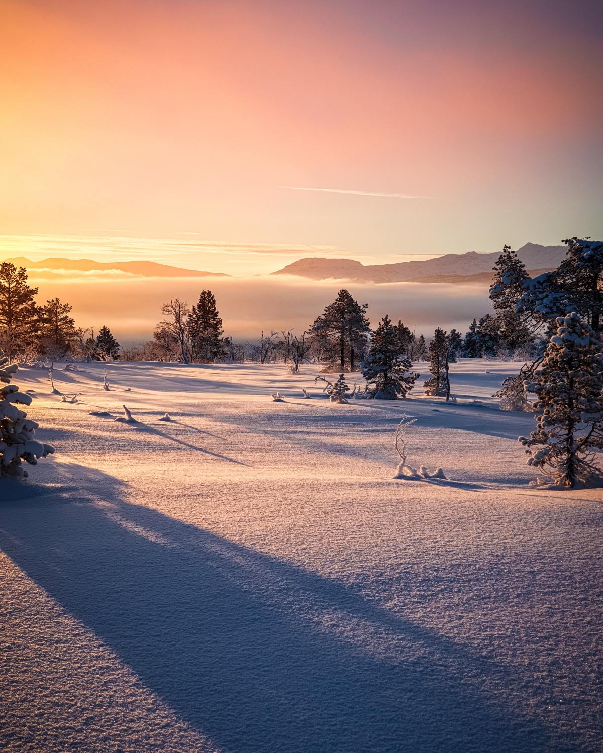 A Rom-Com Novel Writing Project:&nbsp;January