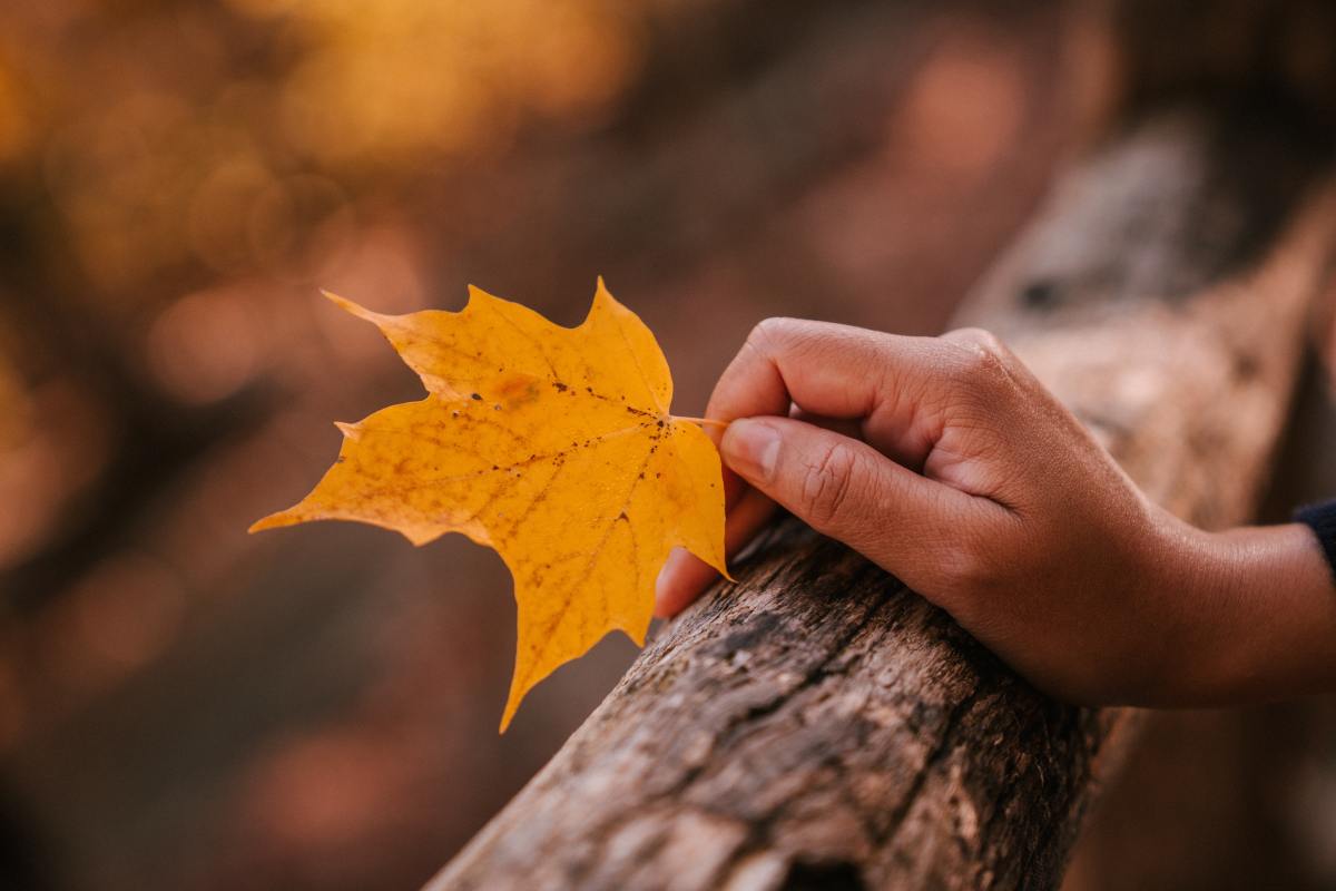 It's so hard to stop when we're on a writing roll! The fall season, my favorite, is upon us and with the season come the need to see the world. More likely, imaginary worlds!